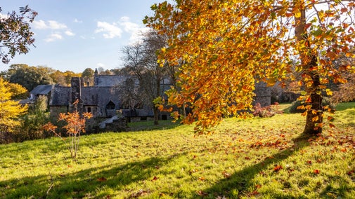 The house and garden on a sunny day in autumn at Cotehele, Cornwall